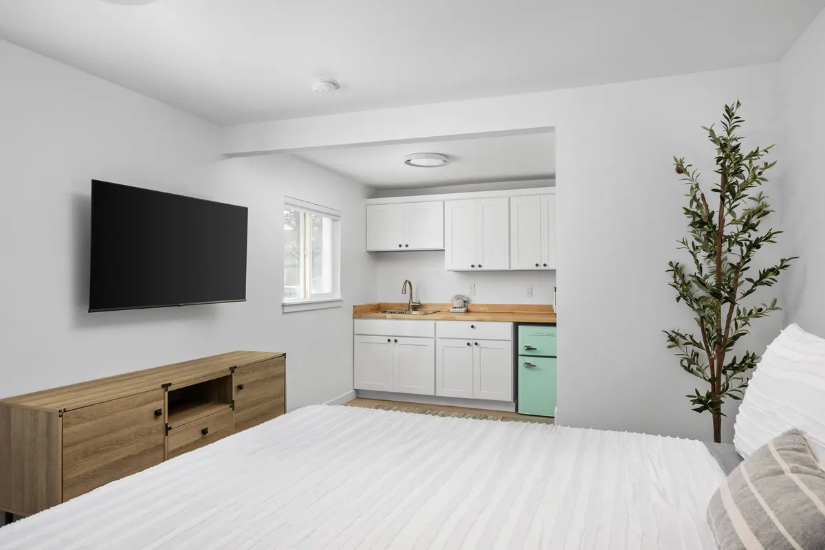 This image showcases a modern, comfortable main living/sleeping area featuring a cozy bed with crisp linens, a television, a small kitchen area with wooden accents, and a touch of greenery from an indoor plant. The space feels contemporary yet inviting, with clean lines and a functional layout ideal for relaxation or a cozy movie night.